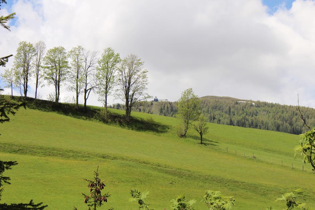 Haus Othmar Schabuss Pension Bad Kleinkirchheim Buitenkant foto